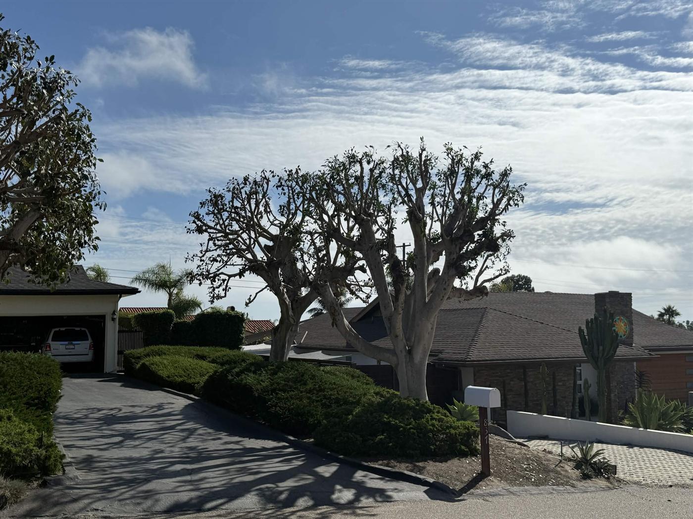 Finished ornamental tree pruning at a residential property
