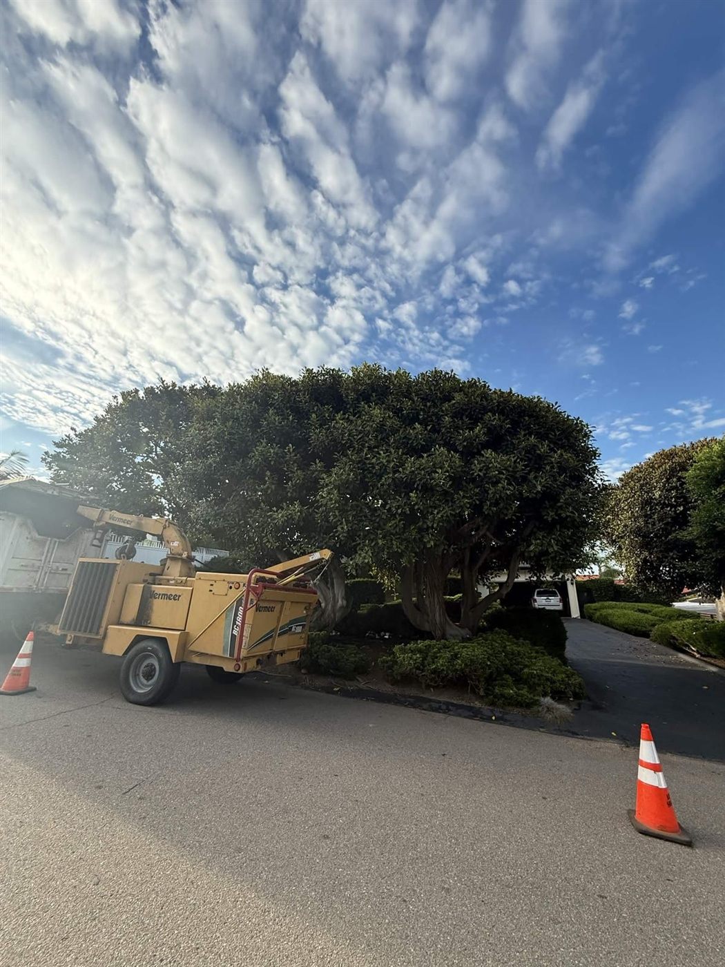 Wood chipping crew and chipper staged on a tree job by Artistic Solutions